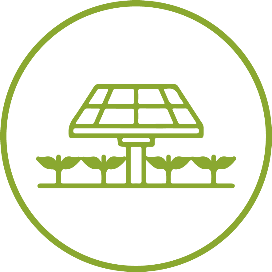 Higher Land Productivity